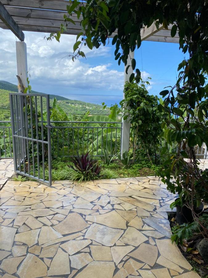 Bas De Villa Courbaril بويانت المظهر الخارجي الصورة
